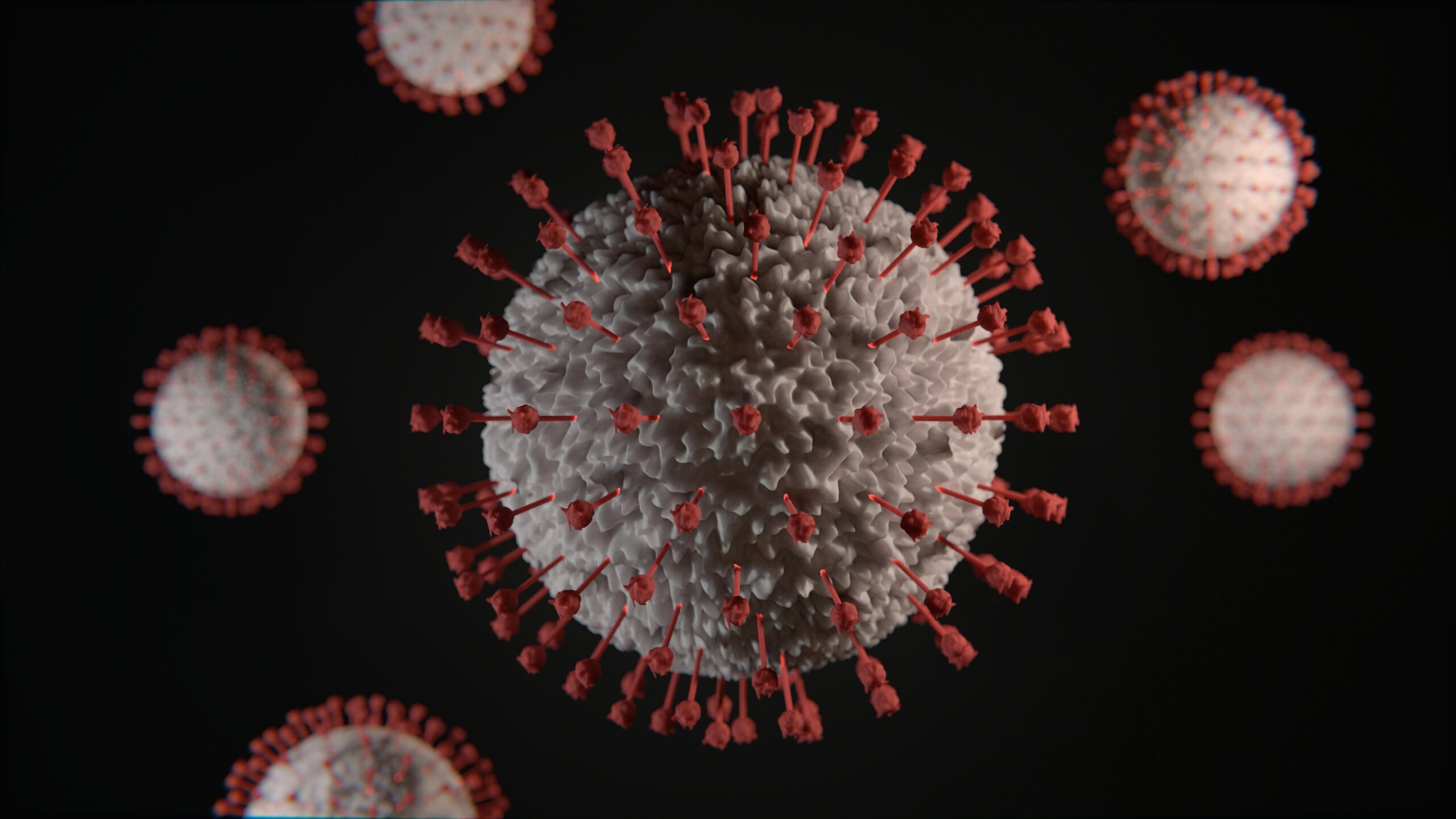 corona virus