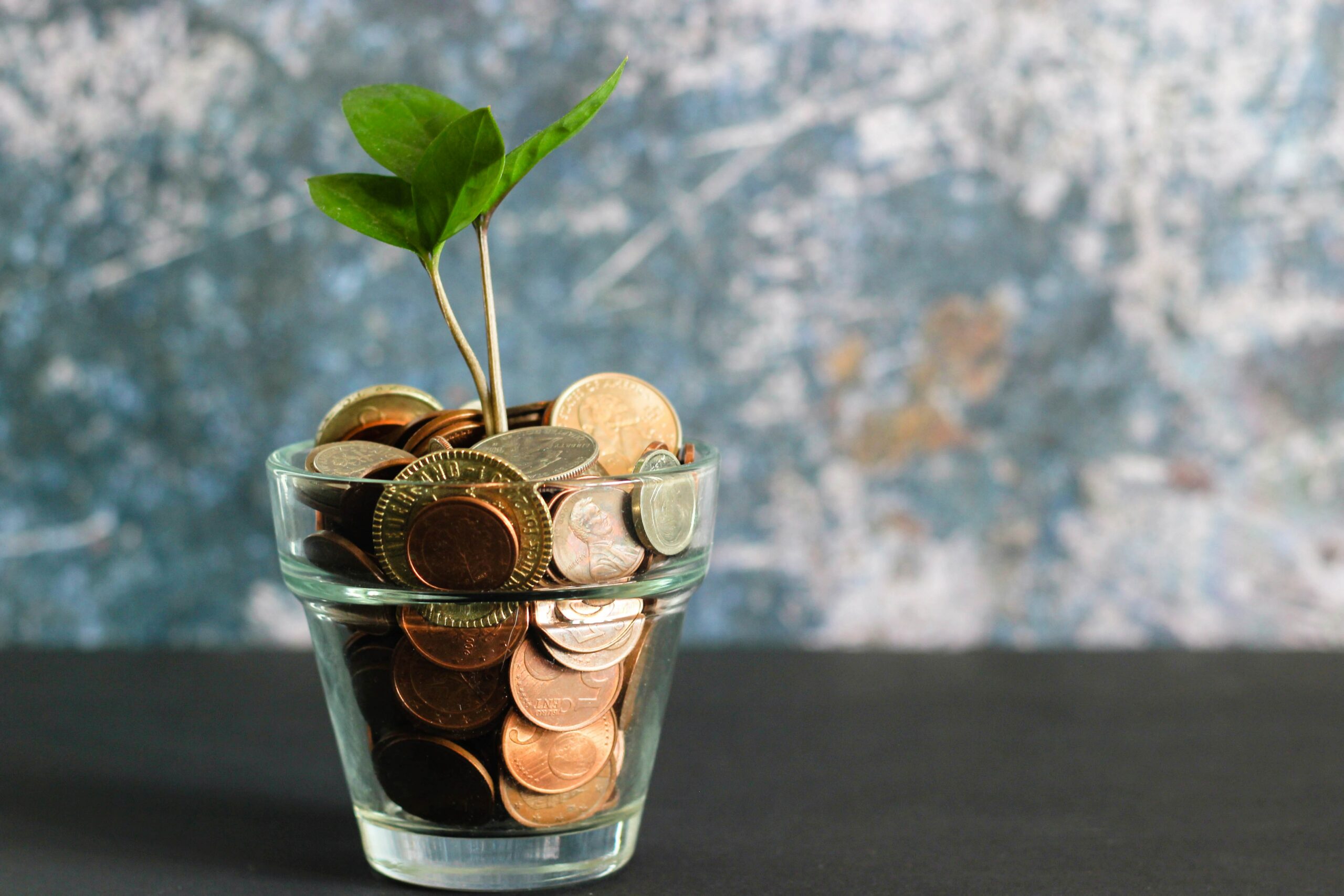 pot with coins and a plant growing